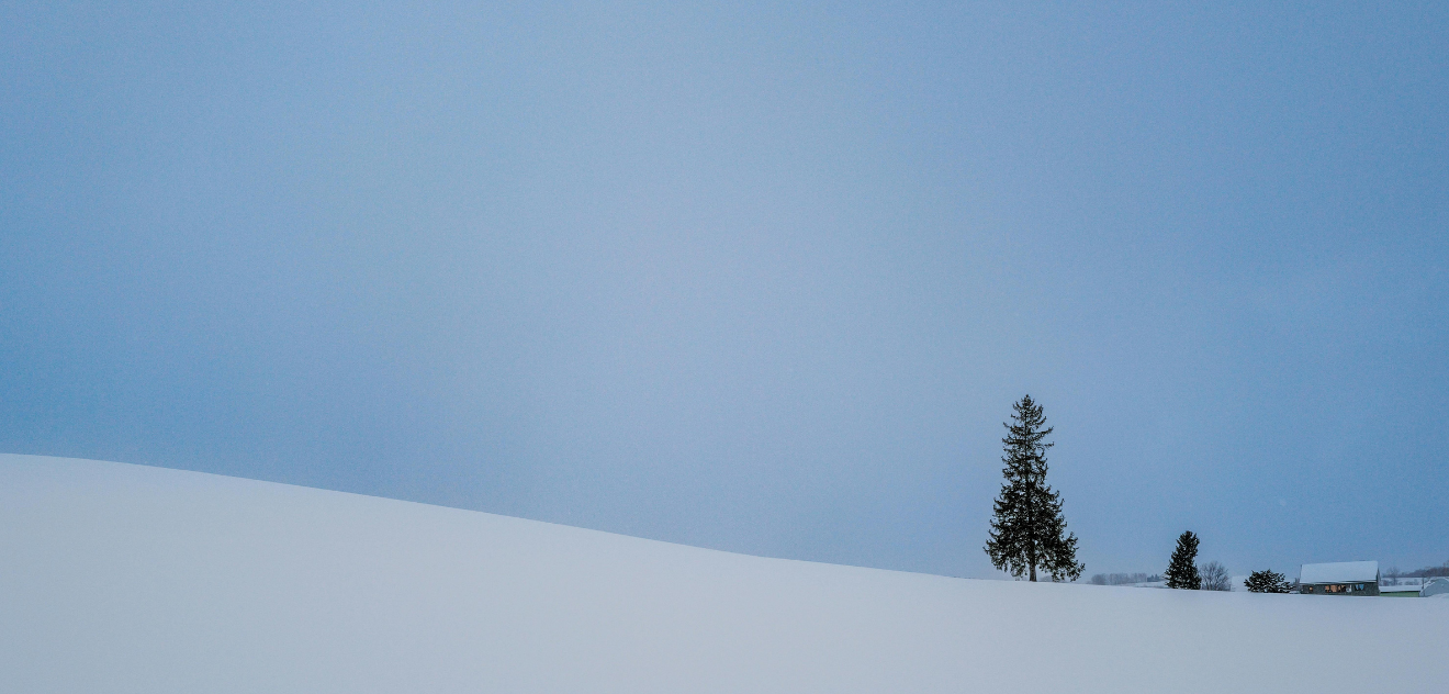 Turvepeltoa omistavat kotitaloudet ja päästöjen hinnoittelu