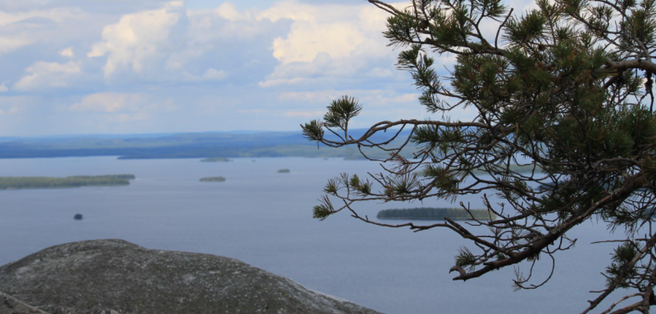 Järvimaisema.