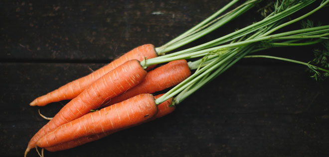 Kuva: Jonas Tana (Flickr, cropped, CC BY-NC-ND 2.0)