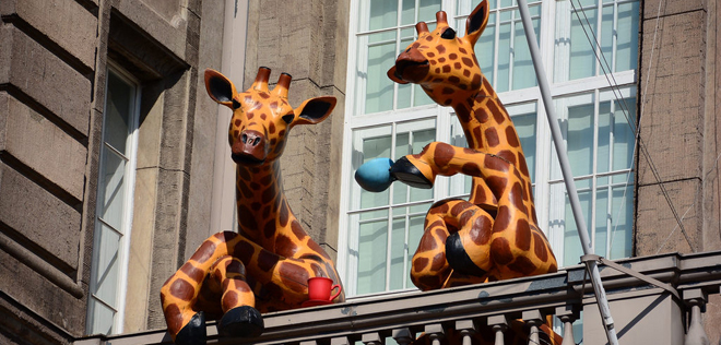 Kuva: iKirahvit Luonnontieteellisen museon parvekkeella